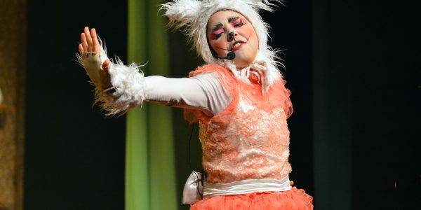 _ALC_6573_01.11_Saltimbancos_Teatro ISBA_Foto André Carvalho_SMED_PMS (26)